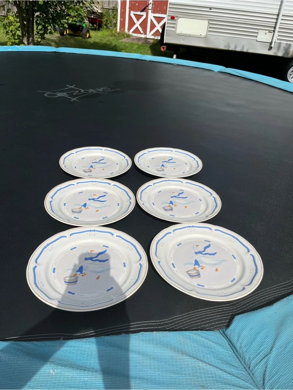 Set of 6 Newcor Geese Dinner Plates